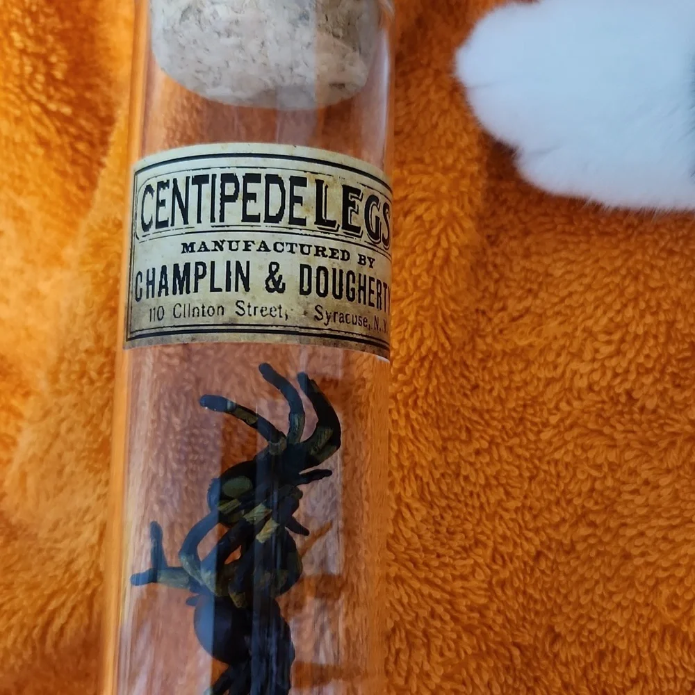 Creepy villa these spiders